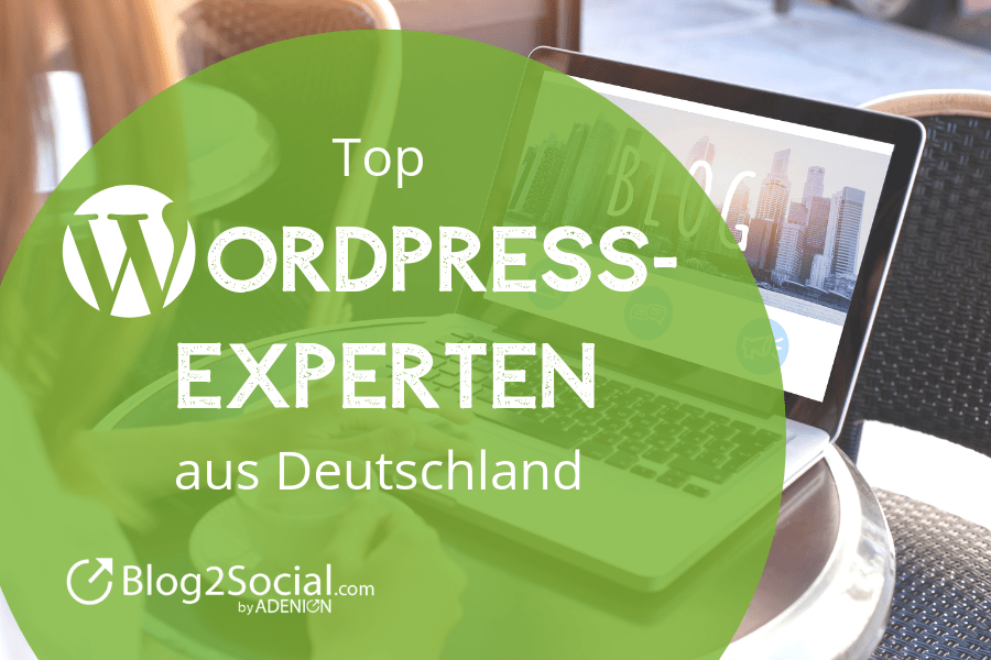 Top Wordpress Experten aus Deutschland