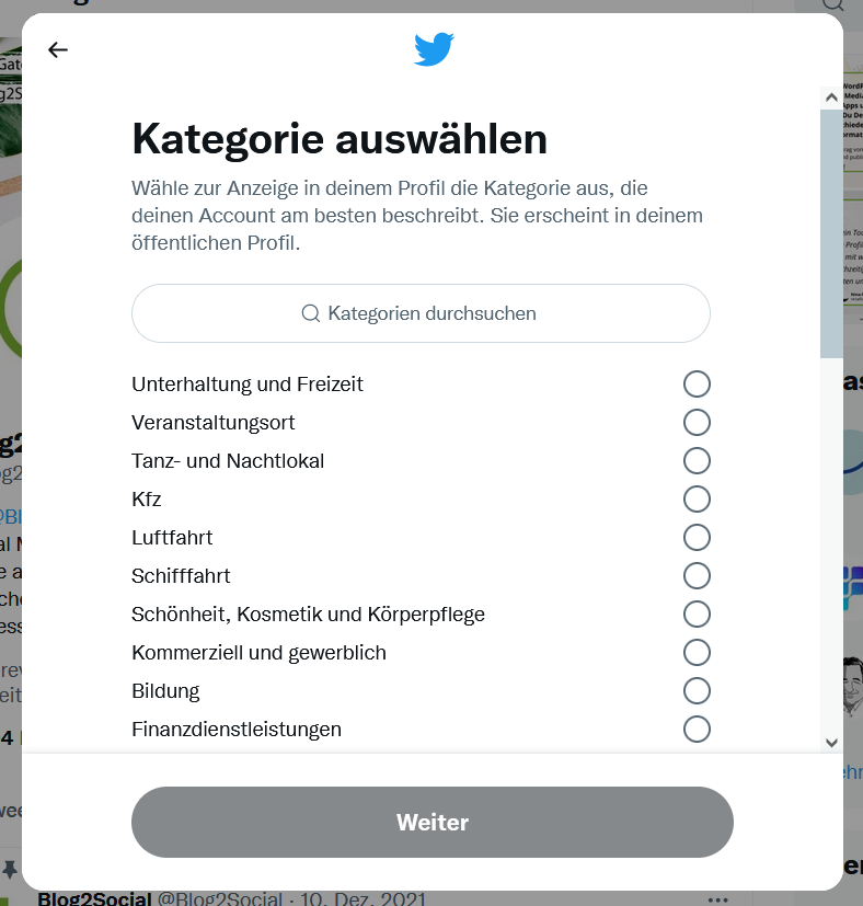 Kategorieauswahl professionelles Twitter Profil