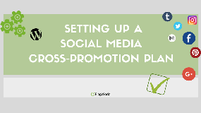 Setting up a social media cross-promotion plan