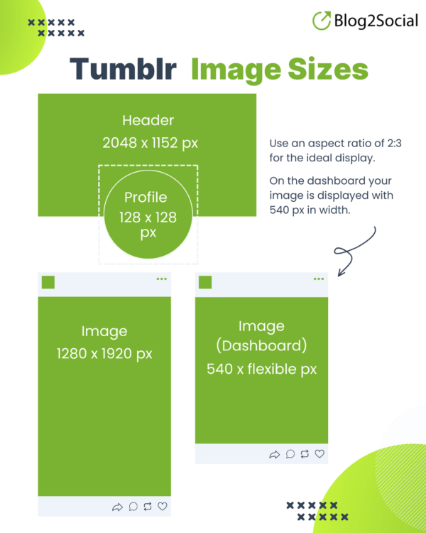 Best Image Sizes for Tumblr Infografic