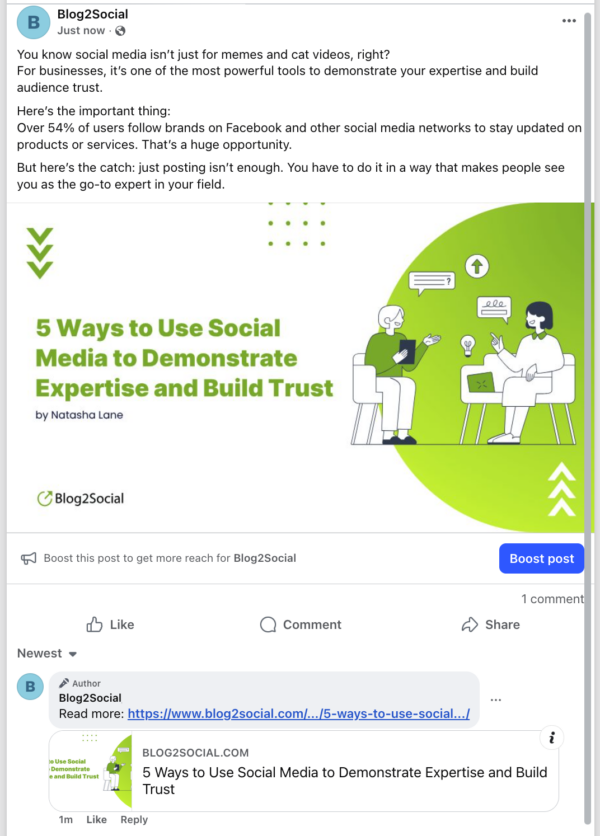 Example Facebook post with first comment