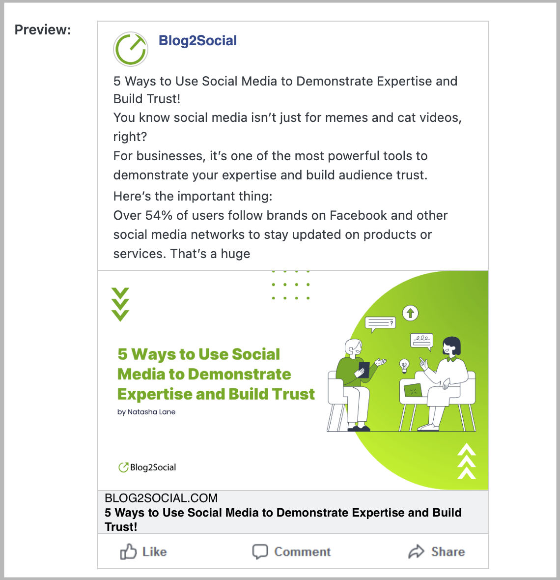 Blog2Social Post Template Preview